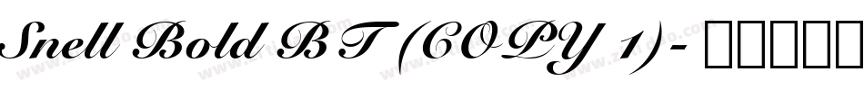 Snell Bold BT (COPY 1)字体转换